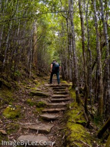 Read more about the article Alpine walking and beer.