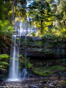Read more about the article Russell Falls