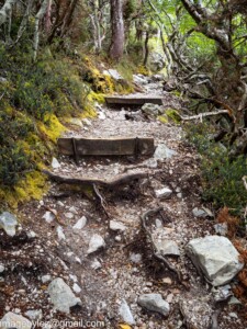 Read more about the article Cradle Mountain