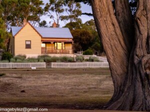 Read more about the article Maria Island