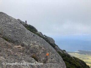 Read more about the article Mt. Strzelecki