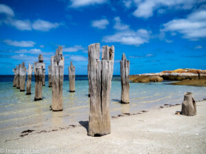 Read more about the article Flinders Island