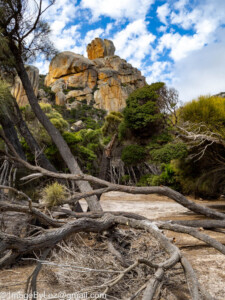 Read more about the article North Flinders Island