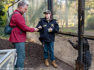 Read more about the article Canberra also does a zoo