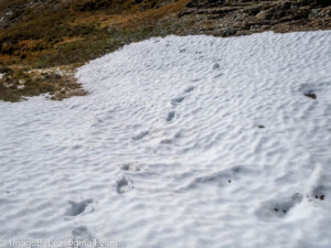 Read more about the article Climb’n’ Stuff … BIG Stuff