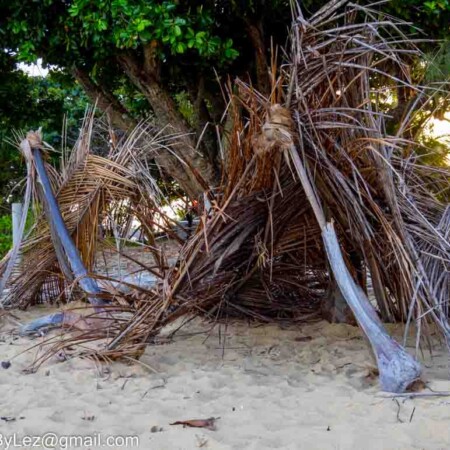 Cowley beach kids shelters