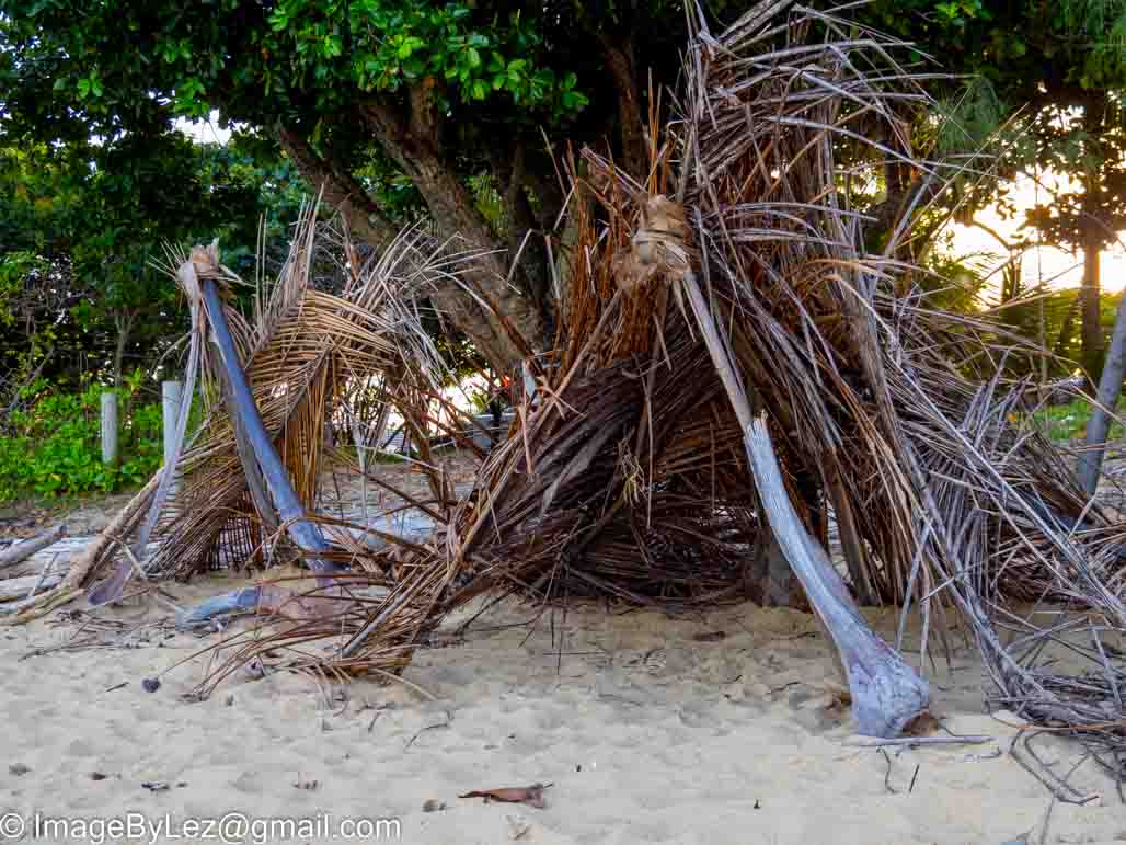 Cowley beach kids shelters