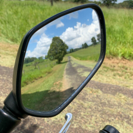 Fresh cut grass.