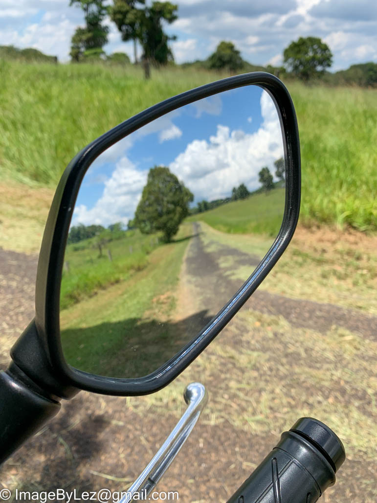 Fresh cut grass.