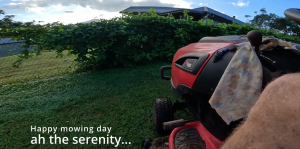 Read more about the article Mowing – Stress relief
